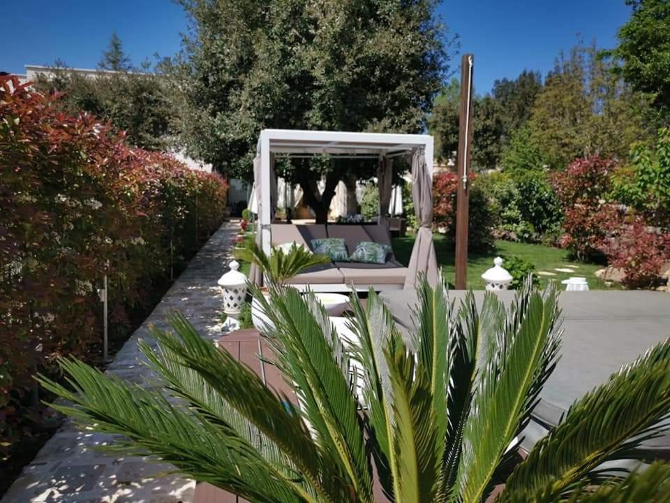 Apulia Dream B&B Le Lamie di Olimpe Exterior foto